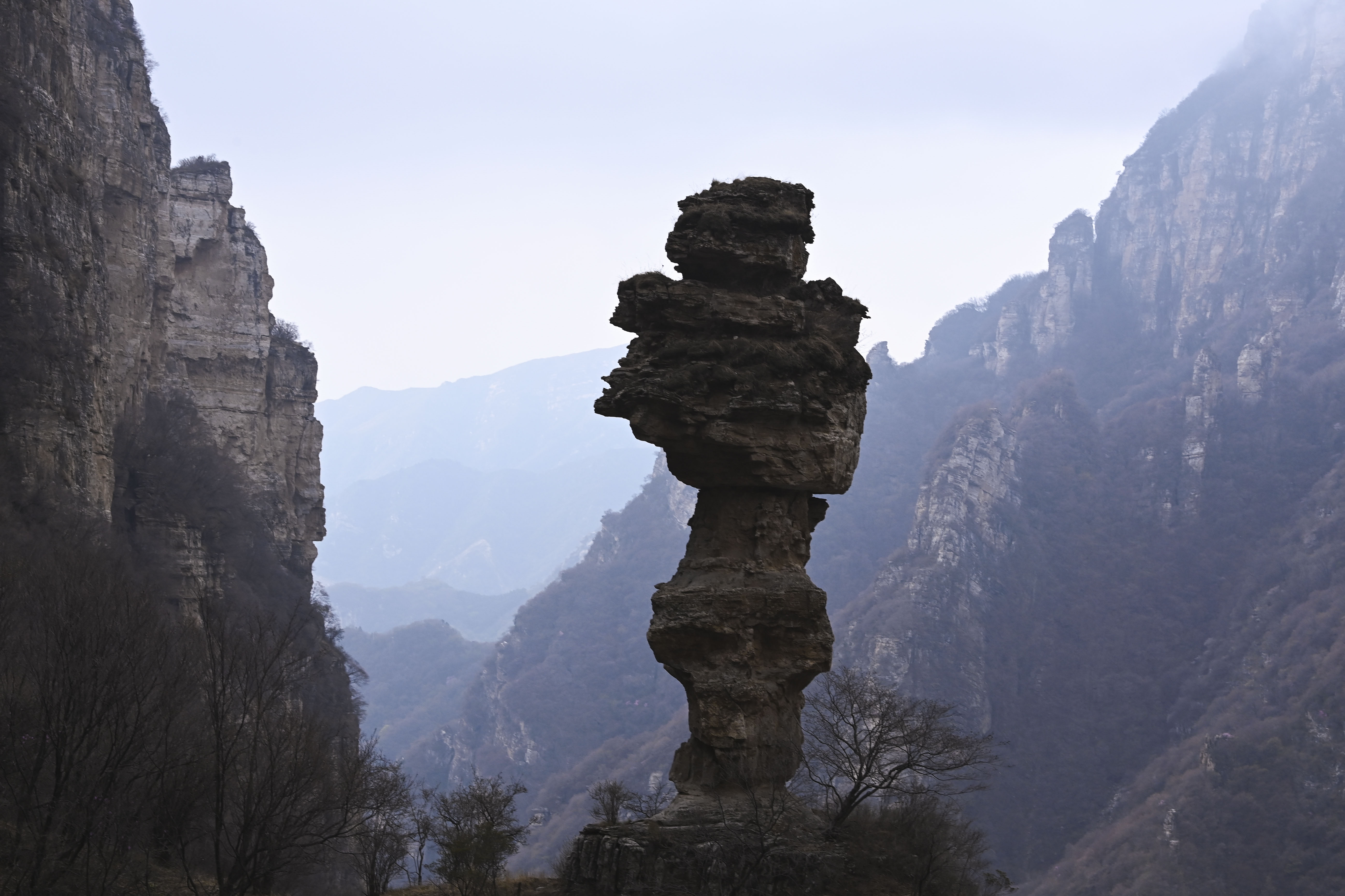 1619259159920534.jpg 1.jpg